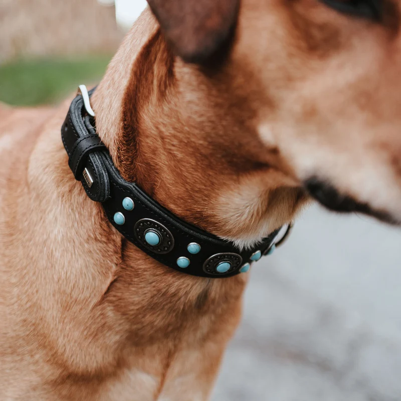 Halsband Sioux