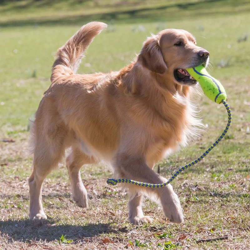 Hundespielzeug KONG® AirDog® Squeaker Fetch Stick mit Tau