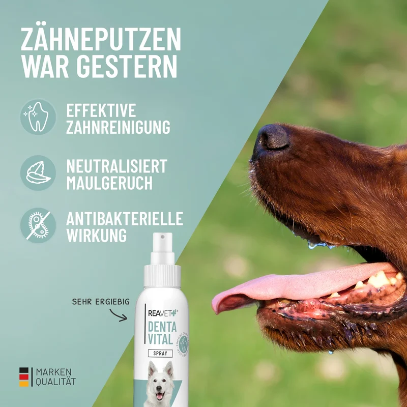 Denta Vital Spray