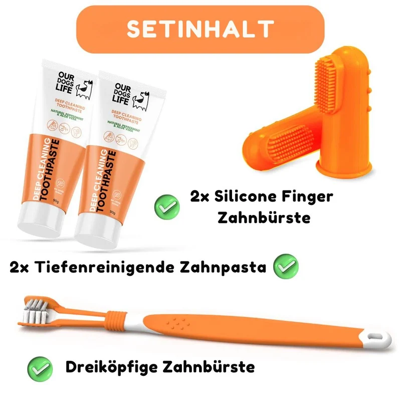 Dental Kit