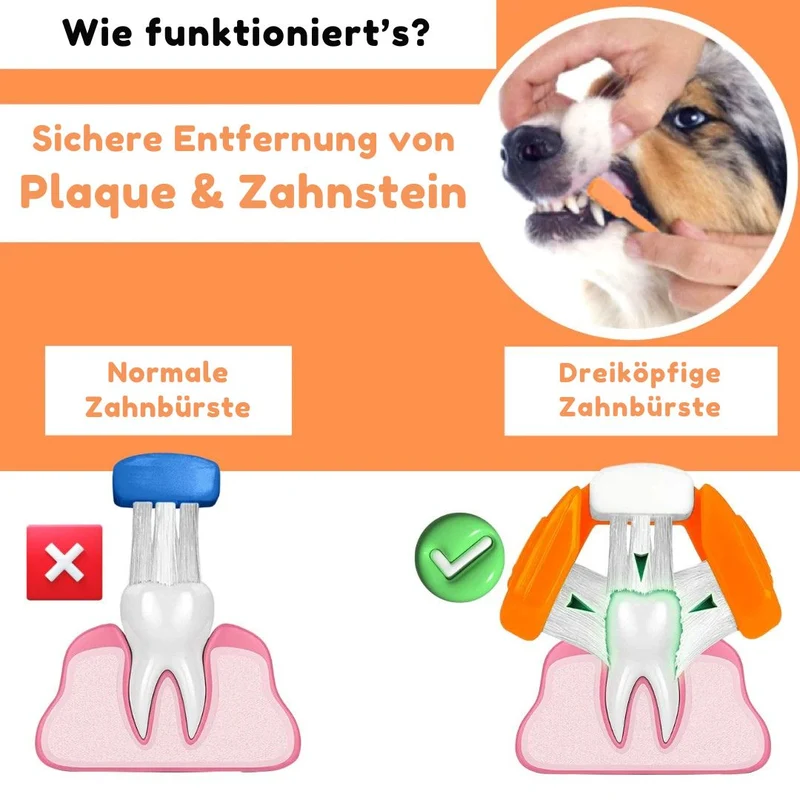 Dental Kit