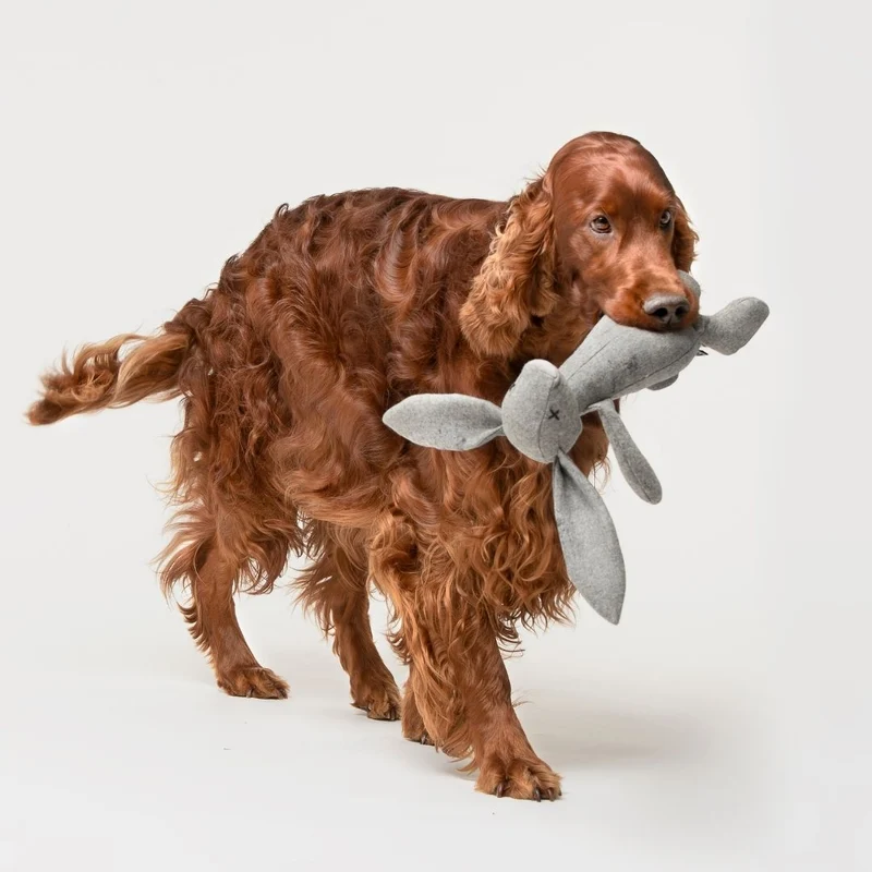 Hundespielzeug Rupert Rabbit