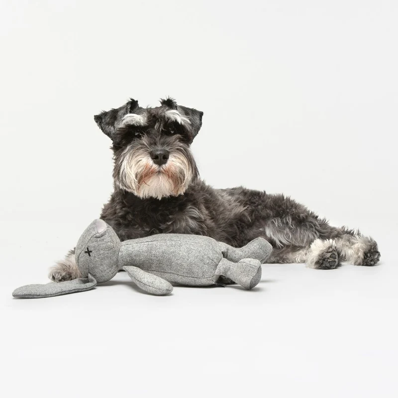 Hundespielzeug Rupert Rabbit