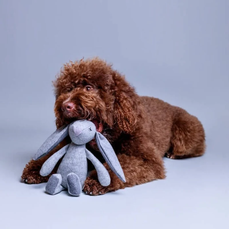 Hundespielzeug Rupert Rabbit