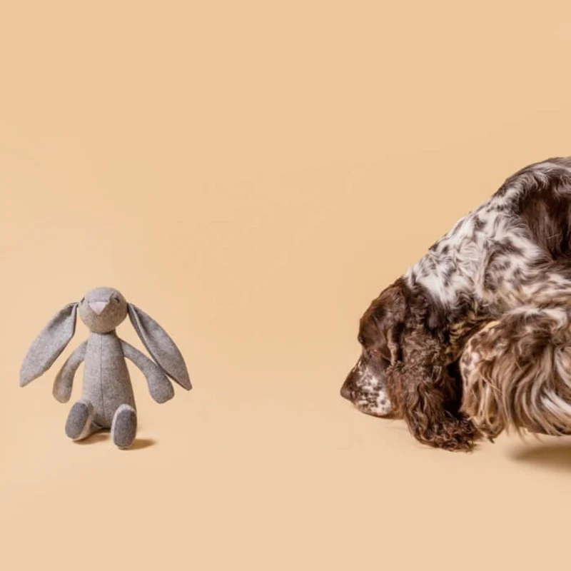Hundespielzeug Rupert Rabbit