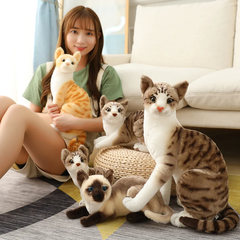 Tolle echt aussehende Katzen Kuscheltiere in vielen Motiven