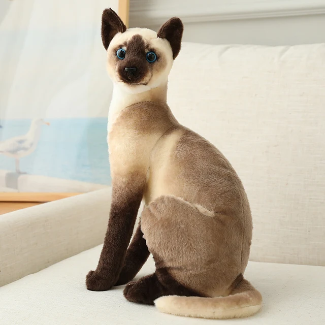 Tolle echt aussehende Katzen Kuscheltiere in vielen Motiven