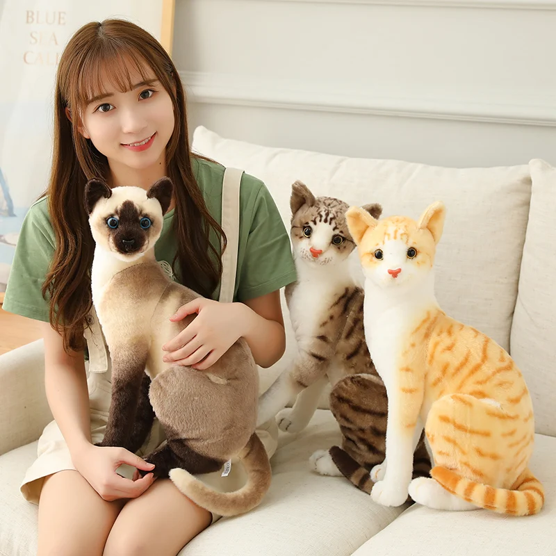 Tolle echt aussehende Katzen Kuscheltiere in vielen Motiven