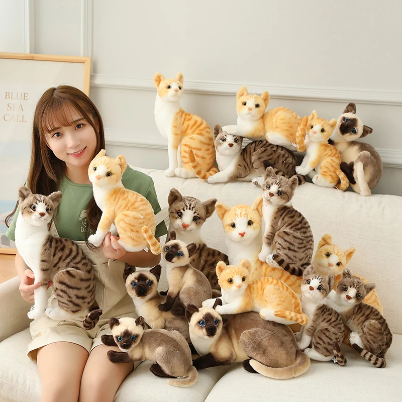 Tolle echt aussehende Katzen Kuscheltiere in vielen Motiven