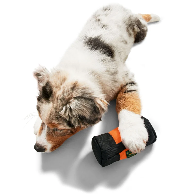 Trainer Snack Dummy