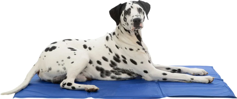 Kühlmatte für Hunde