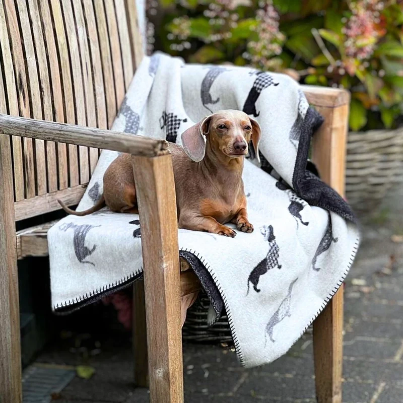 Hundedecke Teckel