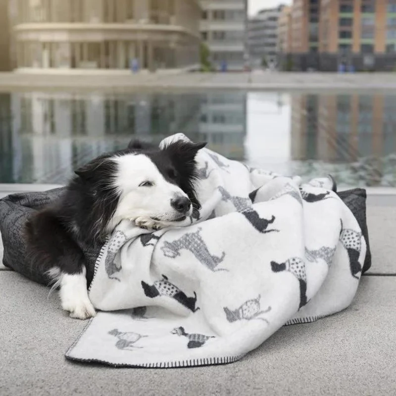 Hundedecke Teckel