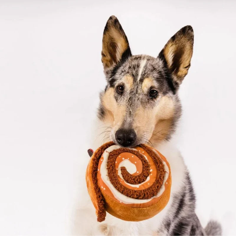 Hundespielzeug Cinnabone