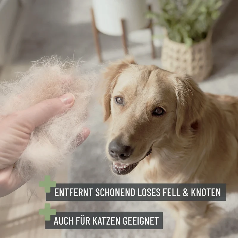 Zupfbürste