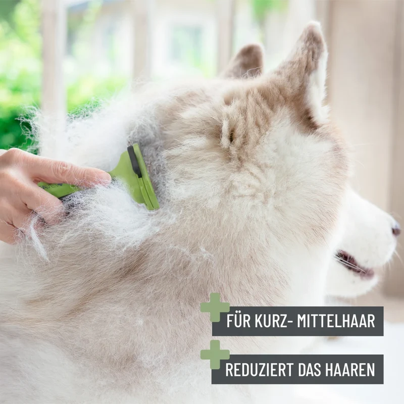 Unterwollkamm