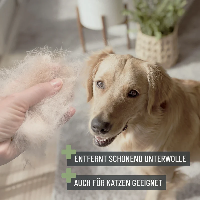 Unterwollbürste