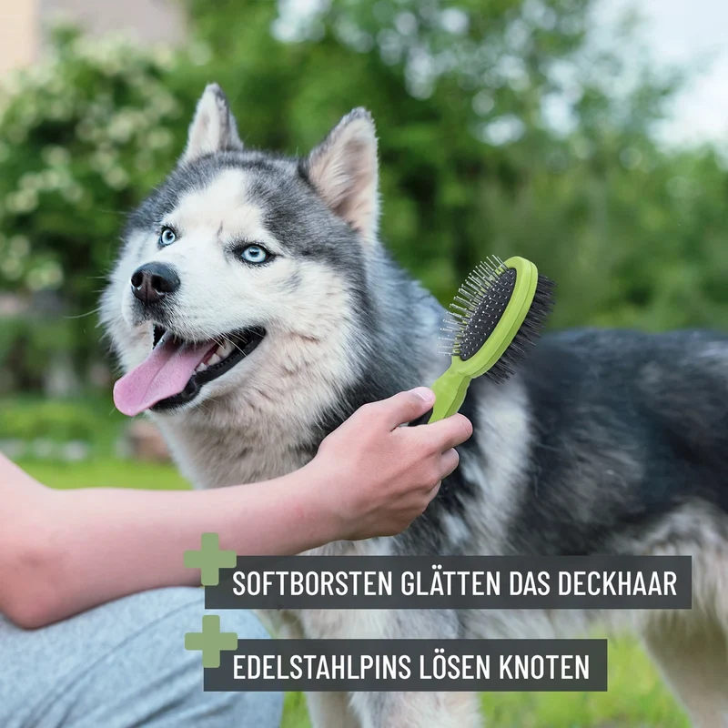 Bürste 2in1