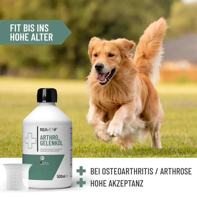 Arthro Gelenköl