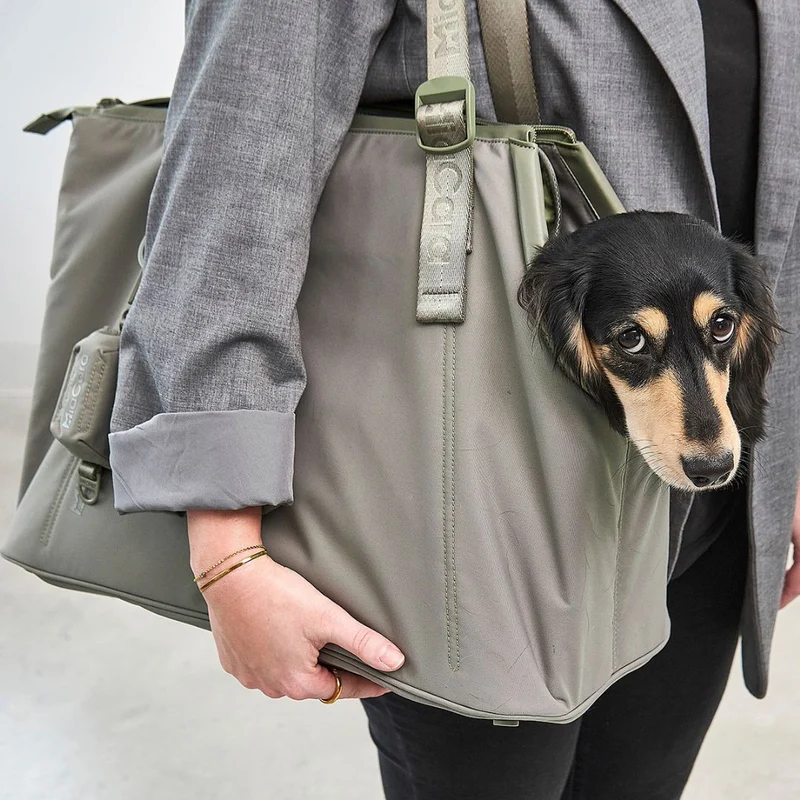 Hundetragetasche Sporta Grolive