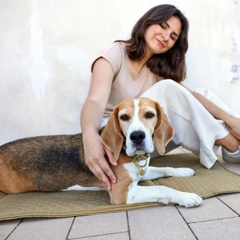 Hundemattentasche Nobo Salbei