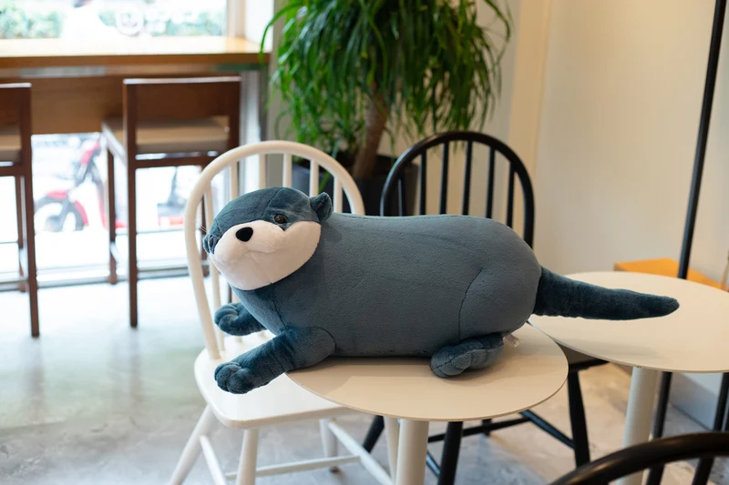 Liebliche Otter Plüschtiere (40/60/80cm)