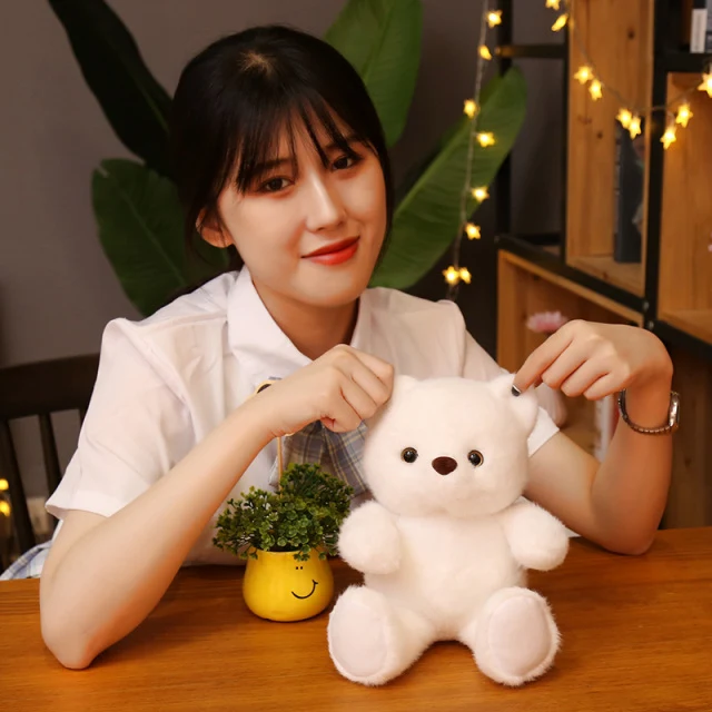 Kuscheliger Teddy Bär aus Plüsch