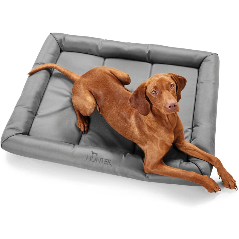 Hundematte Vermont