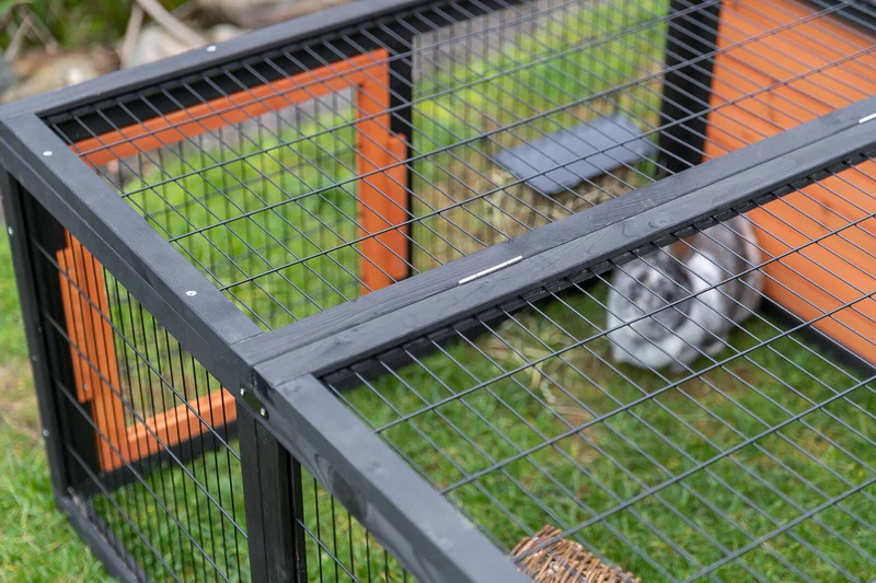 Freilaufgehege mit Abdeckung