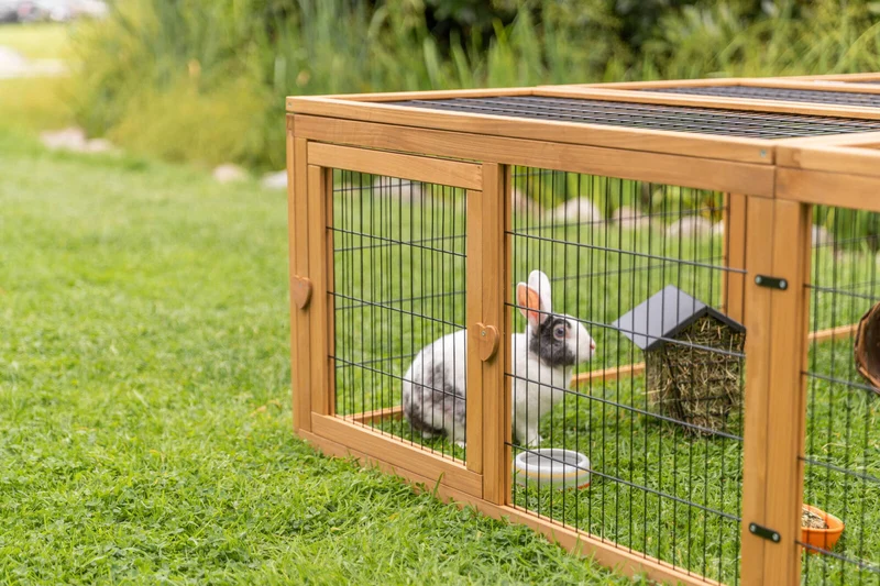 Freilaufgehege mit Abdeckung