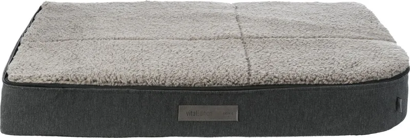 Vital Sofa Bendson