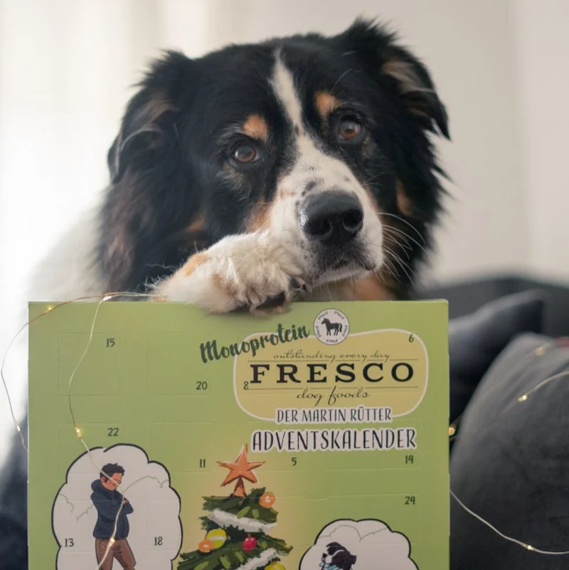 Adventskalender für Hunde - Sorte "Gourmet-Mix"
