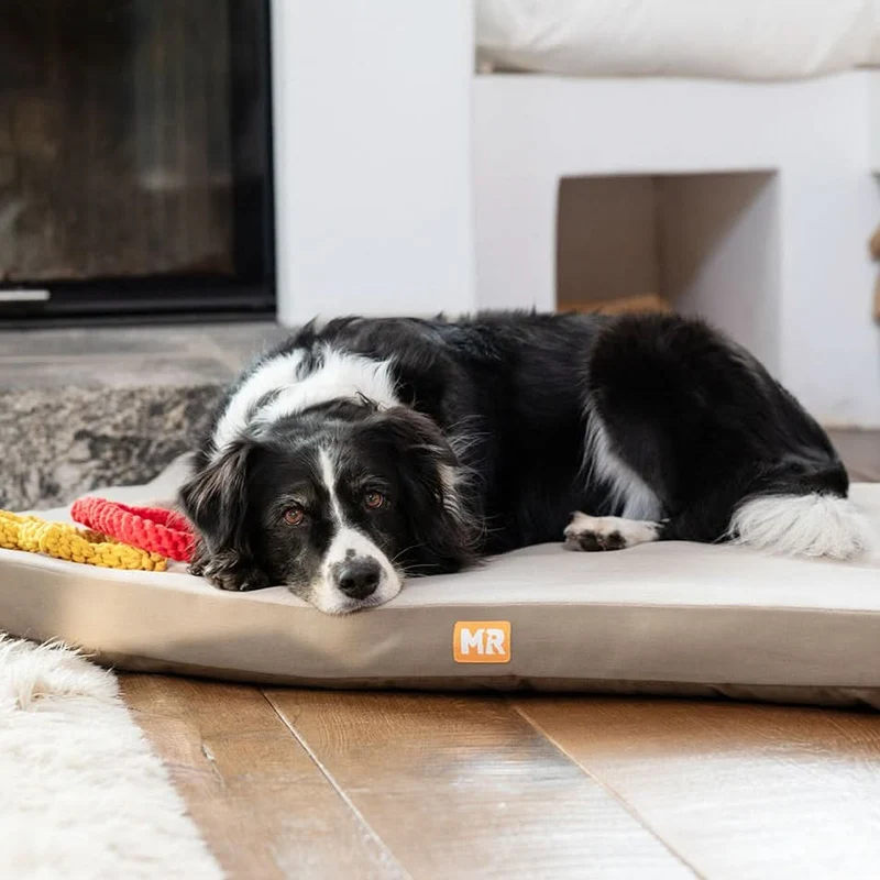 Hundematratze orthopädisch mit Fleece