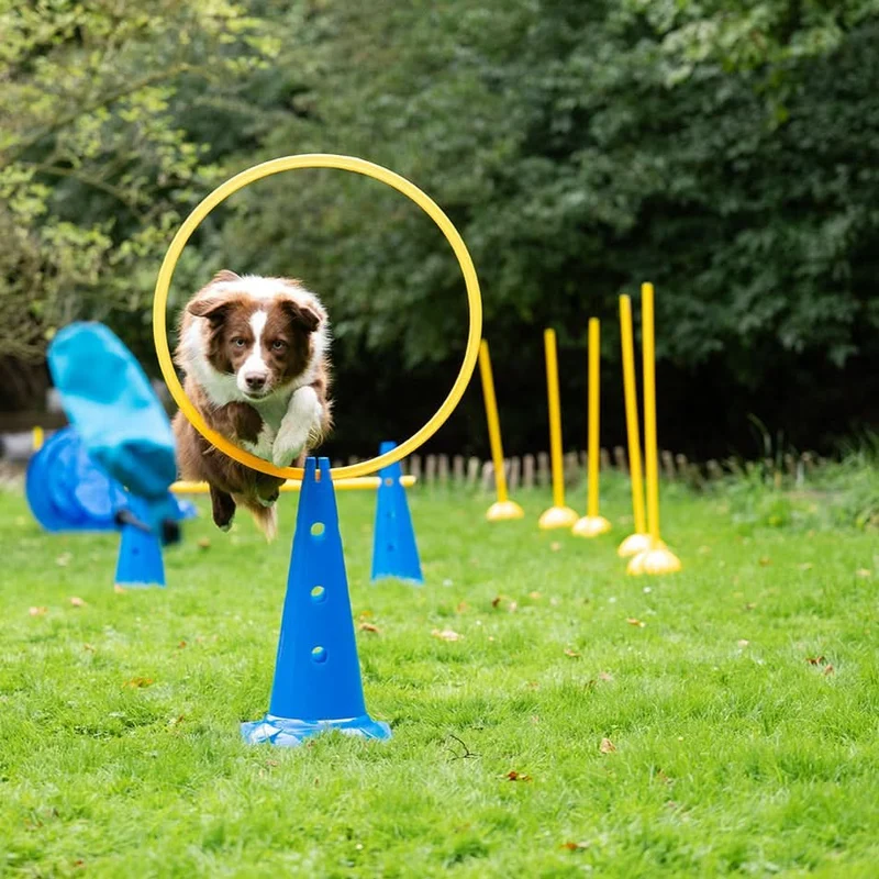 Agility Pylone