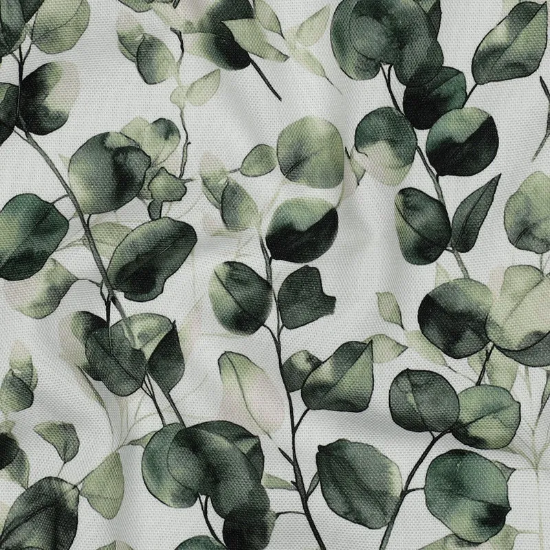 Canvas Digital Eukalyptus