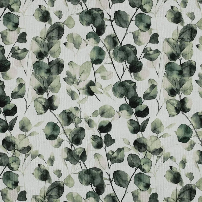 Canvas Digital Eukalyptus