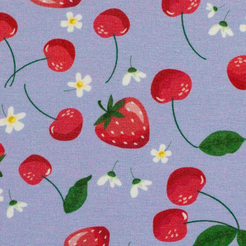 Baumwolljersey Melody Obst