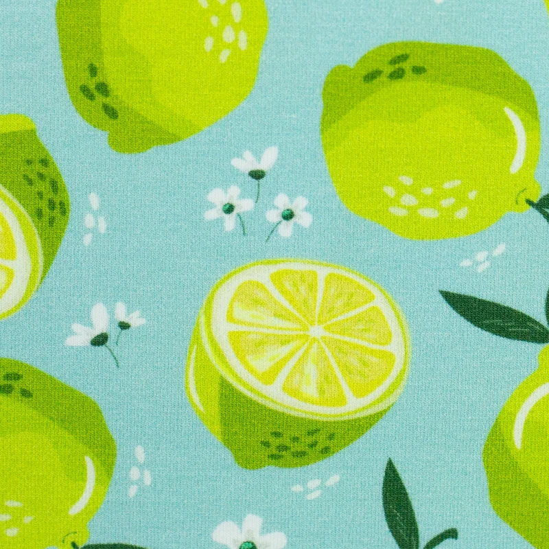 Baumwolljersey Melody Früchte