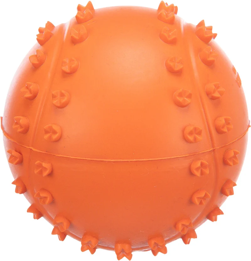 Ball Hundespielzeug