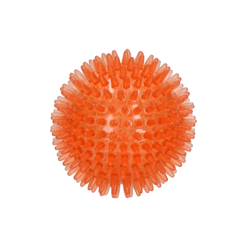Hundespielzeug Exoplanet Igel-Ball