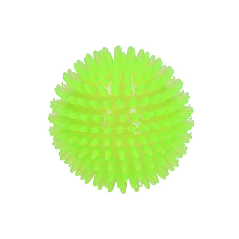Hundespielzeug Exoplanet Igel-Ball