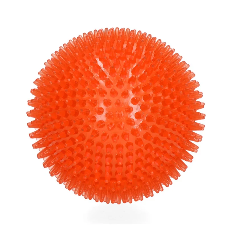 Hundespielzeug Exoplanet Igel-Ball