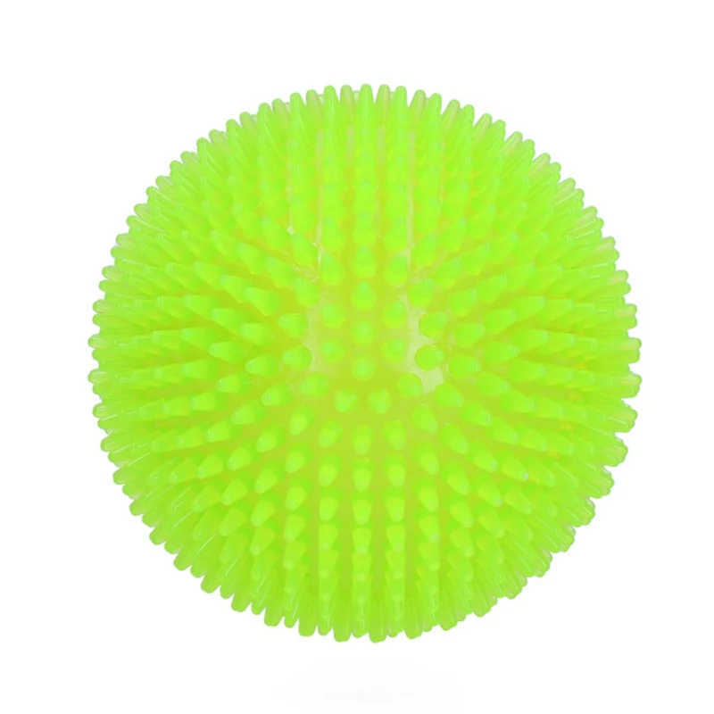 Hundespielzeug Exoplanet Igel-Ball