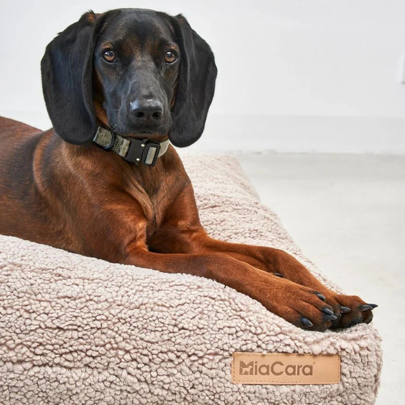 Senso Hundekissen Greige
