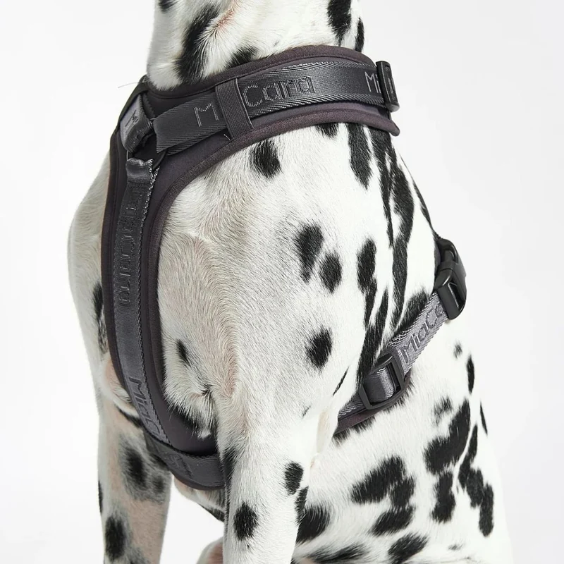 Modena Hundegeschirr Asphalt
