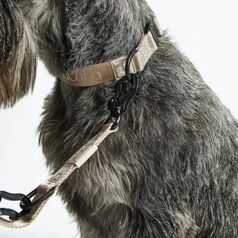Modena Hundehalsband Greige