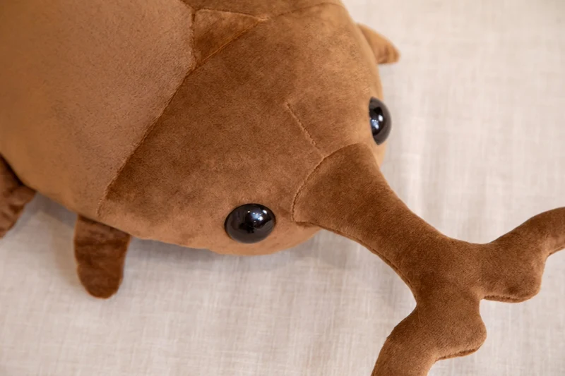 Lustiger XXL Käfer als Kuscheltier in verschiedenen Größen (50cm oder 60cm)