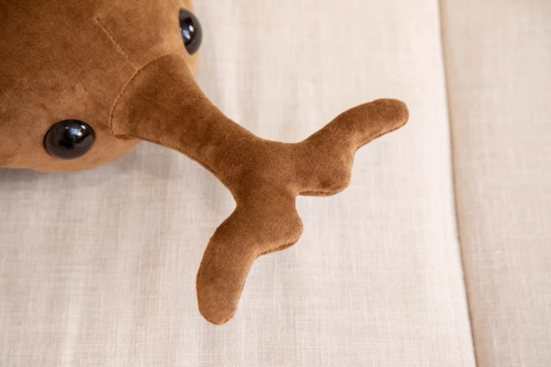 Lustiger XXL Käfer als Kuscheltier in verschiedenen Größen (50cm oder 60cm)