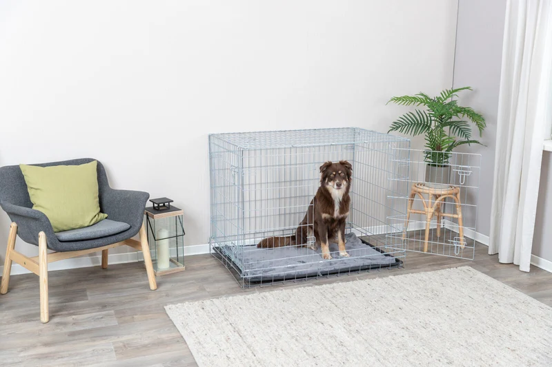 Hundebox Home