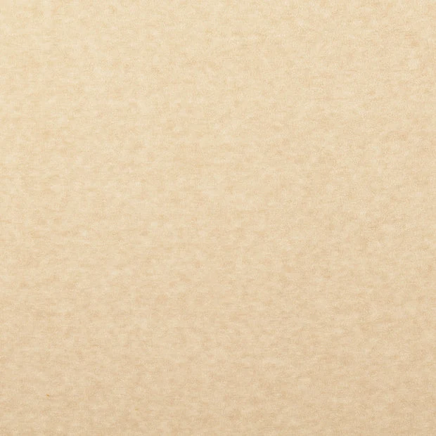 Frottee Jersey Luke - 5004 natur meliert